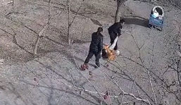 Được bạn trai mua nhà và xe cho, cô gái vẫn bị bố mẹ đến lôi về vì thiếu 1,7 tỷ tiền sính lễ