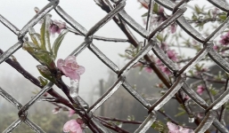 Miền Bắc trải qua đợt rét hiếm gặp trong 40 năm, băng giá tiếp tục xuất hiện ở vùng cao