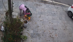 Sáng ngủ dậy tự nhiên nhặt được tiền, gia chủ 'lặng người' khi biết sự tình lúc sáng sớm