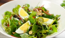 Công dụng của rau càng cua: Loại cỏ dại được ví như thần dược vàng cho sức khỏe