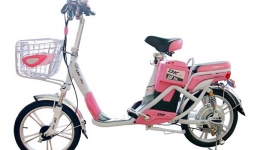 5 mẫu xe đạp điện tốt nhất với giá dưới 5 triệu