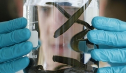 Loài đỉa nắm giữ 'chìa khóa' để ngăn bùng phát dịch corona