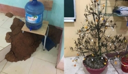 Sau thời gian nghỉ Tết cực sâu vì dịch, sinh viên tá hỏa khi mối làm tổ, nồi cơm bốc mùi