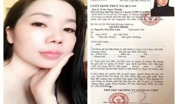 Hà Nội: Truy nã 'nữ quái' làm giả hồ sơ bệnh án tâm thần