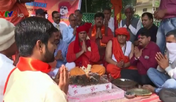 Chuyện lạ: Uống nước tiểu bò để phòng... Covid-19