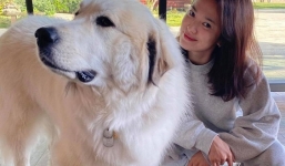 Song Hye Kyo chính thức lộ diện sau 20 ngày bị buộc cách ly, thần thái mới gây chú ý