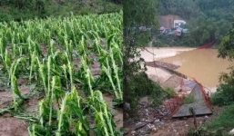 Lào Cai: Giông lốc quật đứt cầu treo, sét đánh khiến 1 người tử vong