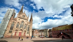 Pháp phát hiện 'ổ dịch ngầm' phát tán virus ra khắp thế giới