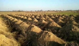 Đào sẵn 600 mộ để dọa người dân không ra khỏi nhà mùa dịch