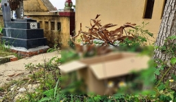 Bé gái sơ sinh bị bỏ rơi trong nghĩa địa, kiến bu quanh người