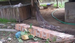 Nằm ngủ trưa trên võng, nam thanh niên bị cột nhà đè tử vong