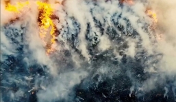 Hiện tượng 'lửa thây ma' quay đầu, đe dọa 'nung chảy' Bắc Cực