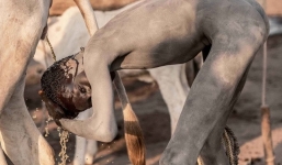 Chuyện lạ: Bộ lạc lấy nước tiểu, phân bò tắm gội thay xà phòng