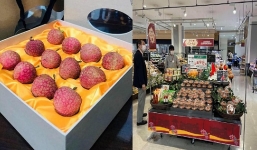 Ở Nhật 650.000 đồng chỉ mua được 1 hộp 12 quả vải thiều 'made in' Việt Nam