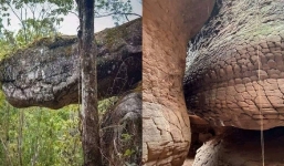 Phát hiện hang động hình rắn khổng lồ, tinh tế đến từng chiếc vảy