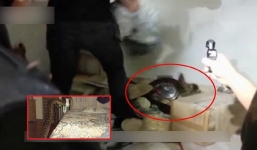 Thấy tiếng động lạ trong chăn, người đàn ông hiếu kỳ lật ra rồi suýt ngất