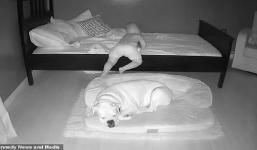 Tối bế con vào giường sáng lại thấy nằm dưới đất, bà mẹ lắp camera rồi phát hiện sự thật