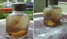 Người đàn ông đào được hũ nước lạ tưởng vật báu, ai ngờ suýt phạm điều cấm kỵ