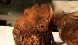 Giải mã tư thế 'ngủ gào thét' của công chúa Ai Cập yên giấc 3.000 năm 