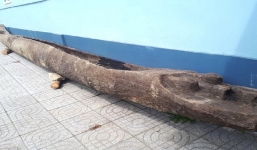 Người dân Hà Tĩnh tìm thấy 2 chiếc thuyền cổ trăm tuổi khi đi đánh cá