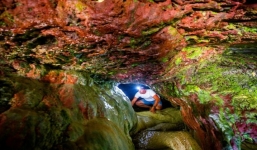 2 thế kỷ ẩn mình dưới vực sâu, động cầu vồng 'bừng tỉnh' mang theo bí ẩn diệu kỳ