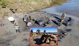 Hài cốt voi ma mút 10.000 năm tuổi được tìm thay sau lớp băng tan