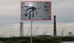 Cơn lốc muỗi lớn chưa từng thấy tạo cảnh tượng như trong phim kinh dị