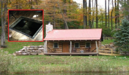 Mua căn nhà trong rừng để ở ẩn, ai ngờ phát hiện dưới nền nhà có hang động mật