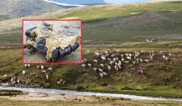 Đi chăn gia súc vô tình chạm mặt quái thú đội nước 'thức dậy' giữa hồ 