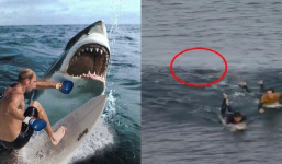 Người đàn ông tay không 'đi đường quyền' với cá mập để cứu vợ