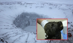 Gạt lớp băng vĩnh cửu phát hiện con vật nhe răng 18.000 năm tuyệt vọng