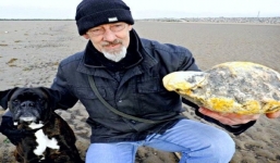 Bắt được cục đá thối ở bờ biển, cặp vợ chồng được định giá bán 3,5 tỷ đồng