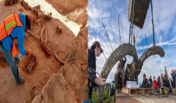 Cải tạo hố sình lầy cổ, vô tình 'gọi dậy' cả đàn 'quái thú' bị niêm phong 