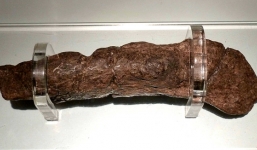 Cục phân người cổ đại được rao bán gần tỷ đồng vẫn 'ế' sưng xỉa vì thứ bên trong