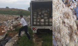 Phát hiện cơ sở dùng hóa chất 'phù phép' 1,1 tấn giá đỗ lớn nhanh như thổi