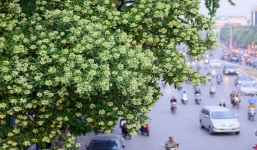 Dự báo thời tiết hôm nay mới nhất ngày 29/9/2020: Mưa rào vài nơi, miền Bắc tạnh ráo