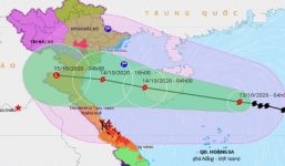 Tin bão khẩn cấp: Bão số 7 giật cấp 11, cấp 12  