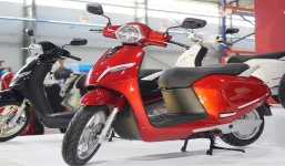 'Con cưng' tỷ phú Phạm Nhật Vượng được bán với giá 20 triệu đồng, khách Việt săn lùng tìm mua