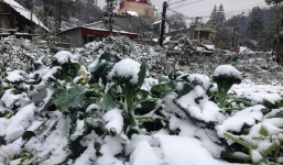 Cập nhật dự báo thời tiết mới nhất 16/12: Đỉnh Mẫu Sơn xuống hơn 1 độ, xuất hiện băng giá 