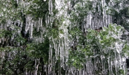 Cập nhật dự báo thời tiết mới nhất 30/12: Không khí lạnh rất mạnh đã đổ bộ, có nơi xuống 5 độ