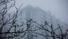 Bản tin dự báo thời tiết đêm nay, ngày mai 4-5/1: Hà Nội âm u trời rét trở lại, Trung và Nam Bộ mưa