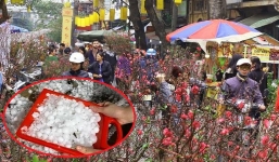 Thời tiết Tết Nguyên đán Tân Sửu 2021: Lịch sử mưa đá đêm Giao thừa có lặp lại?