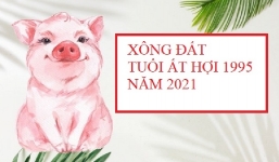 Chọn tuổi tốt xông đất năm mới 2021 cho gia chủ tuổi Ất Hợi 1995