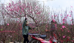 Bản tin dự báo thời tiết đêm nay, ngày mai 4-5/2: Sương mù giăng lối, có nơi có mưa nhỏ