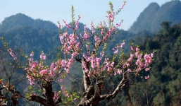 Cập nhật dự báo thời tiết Tết Nguyên đán 2021: Nam Bộ nắng nóng, Bắc Bộ những ngày cuối tháng Chạp có mưa dông mưa đá