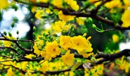 Bản tin dự báo thời tiết Tết Tân Sửu 2021: Bắc Bộ có nơi xuống 10 độ trời rét buốt, Nam Bộ nắng nôi