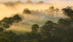 Bản tin dự báo thời tiết đêm nay, ngày mai 15-16/2: Trời nhiều mây, sương mù giăng lối