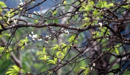 Bản tin dự báo thời tiết đêm nay, ngày mai 19-20/2: Mưa nhỏ vài nơi, trưa chiều hửng nắng nhưng trời rét