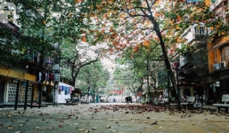 Dự báo xu hướng thời tiết 10 ngày (24/2-5/3): Cuối tháng 2 đầu tháng 3 trời chuyển rét, mưa rào rải rác