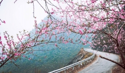 Tin không khí lạnh, gió mùa Đông Bắc mới nhất: Không khí lạnh bao phủ toàn miền Bắc